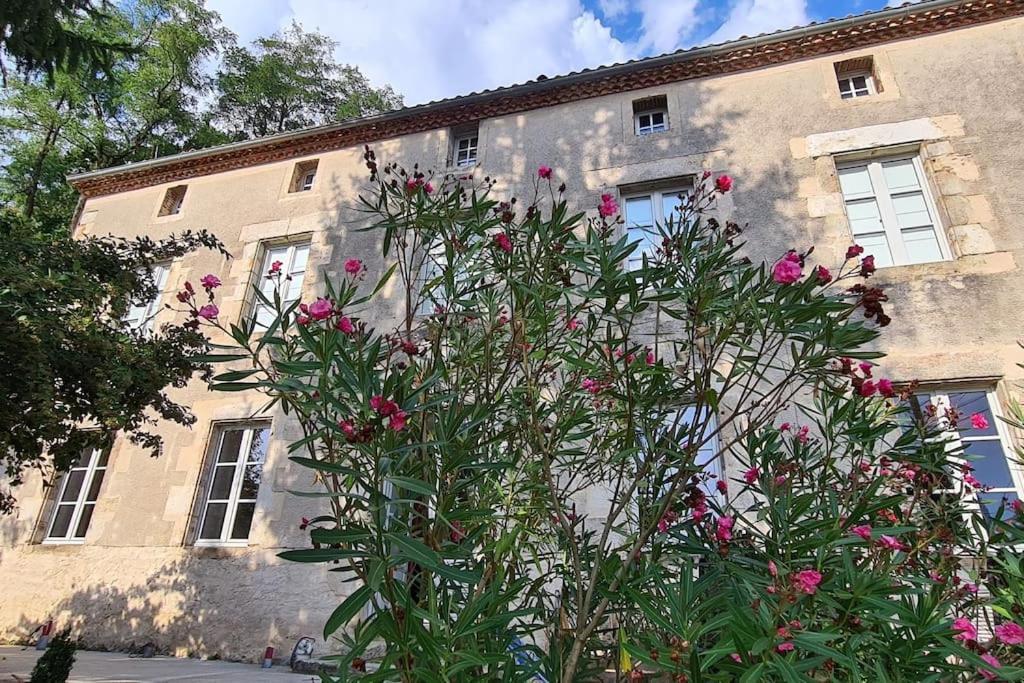 Les Hauts De St Jacques Maison D'Exception 300M2, Jardin Arbore 2000M2 プゾージュ エクステリア 写真