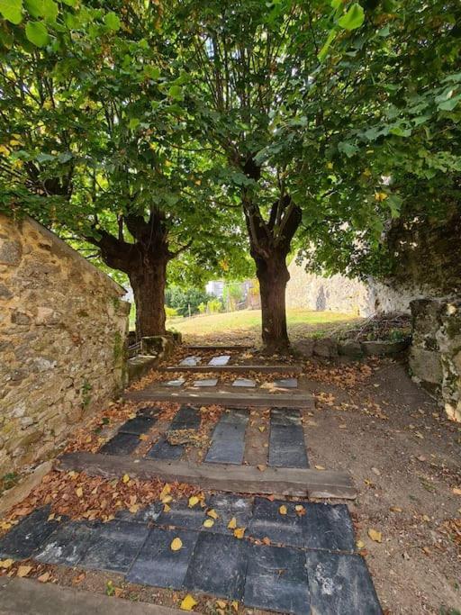 Les Hauts De St Jacques Maison D'Exception 300M2, Jardin Arbore 2000M2 プゾージュ エクステリア 写真